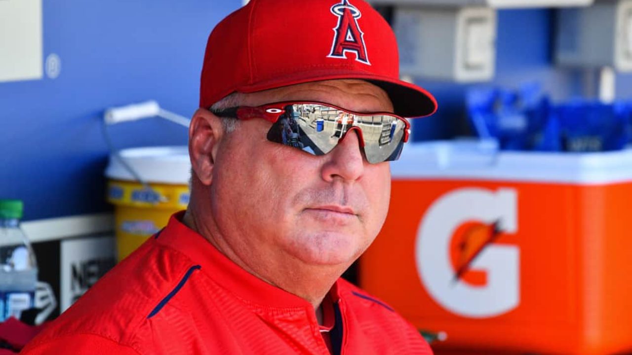 Jon Heyman: Why Mike Scioscia is the best manager in baseball - Sports  Illustrated