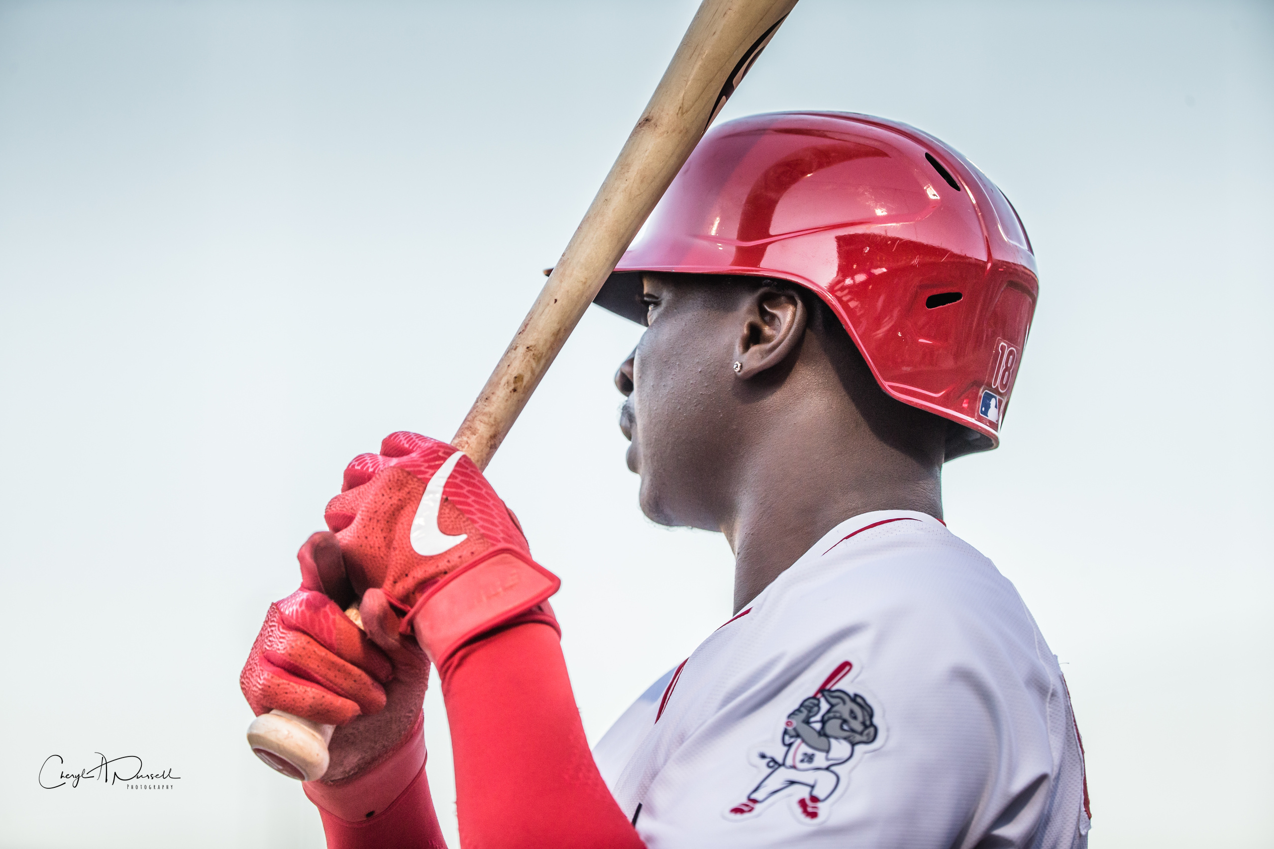 Philadelphia Phillies Didi Gregorius Rehabbing at Trenton Thunder