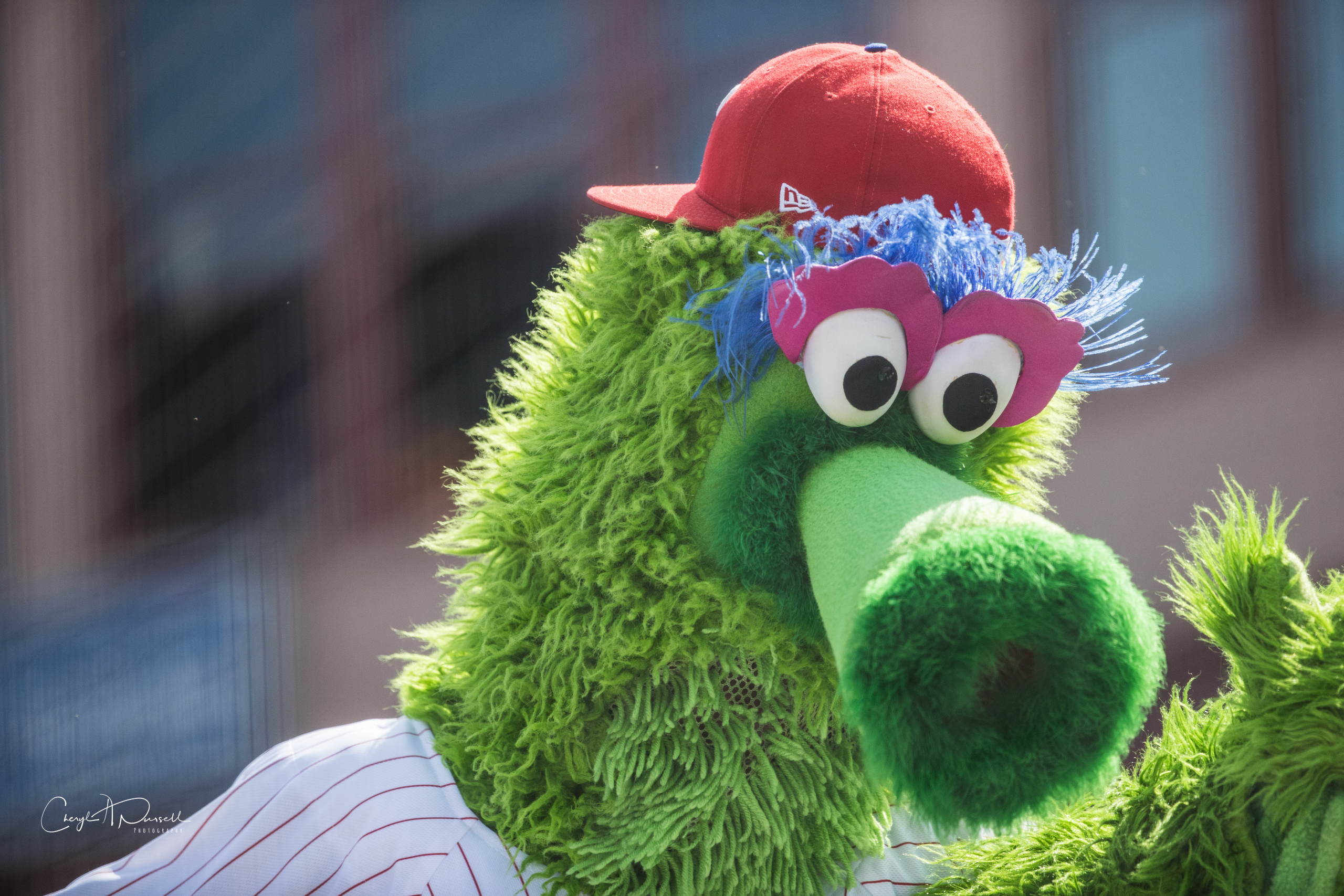 Phillie Phanatic and Pirate Parrot are now friends; here's how the